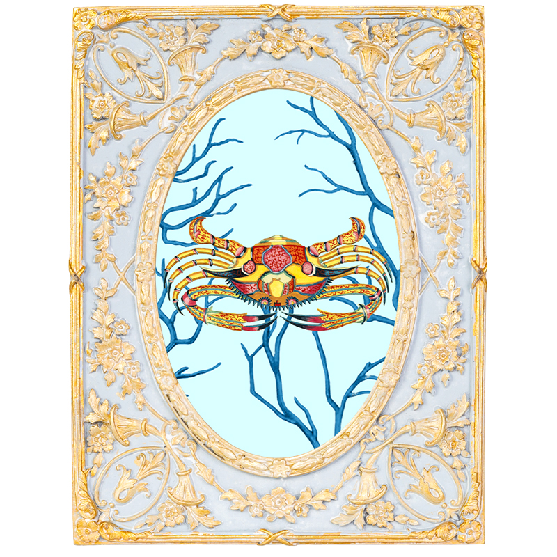 Картина в раме с золотым орнаментом Seashell Still Life 2 Мульти Золотой Голубой Картина в раме с золотым орнаментом Seashell Still Life 2 Мульти Золотой Голубой в Перми | Loft Concept