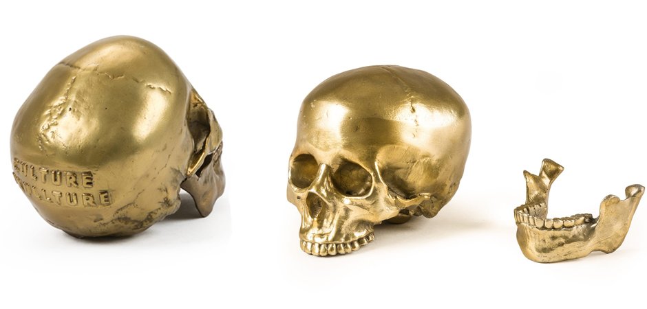 Статуэтка Seletti Wunderkrammer Human Skull Статуэтка Seletti Wunderkrammer Human Skull - Loft-Concept в Перми
