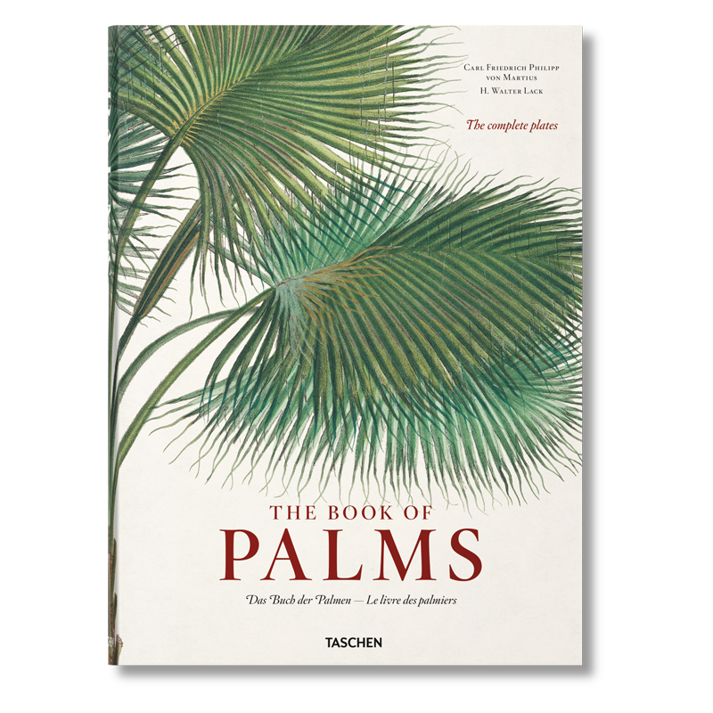 Книга The Book of Palms  в Перми | Loft Concept 