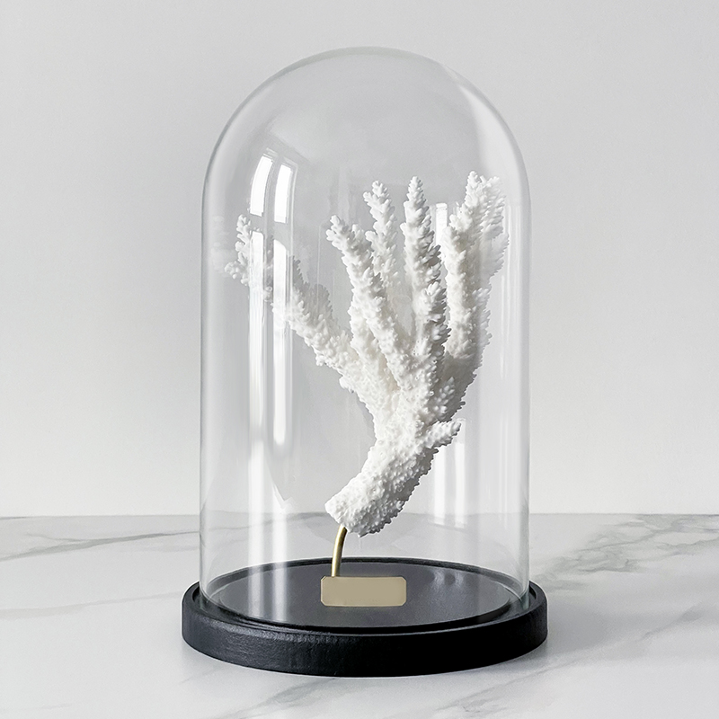 Статуэтка Natural Coral Branch Glass Cloche  в Перми | Loft Concept 