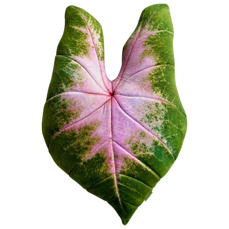 Декоративная подушка Botanical Cushion Caladium Bicolor Зеленый Розовый Декоративная подушка Botanical Cushion Caladium Bicolor Зеленый Розовый в Перми | Loft Concept