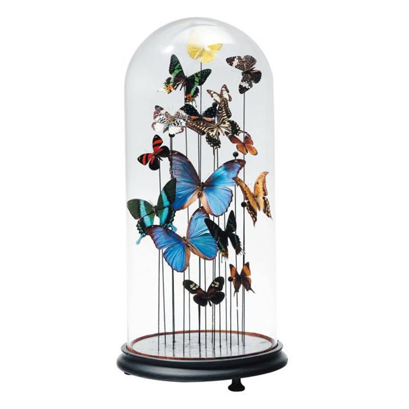 Статуэтка 15 Butterflies Glass Cloche  в Перми | Loft Concept 