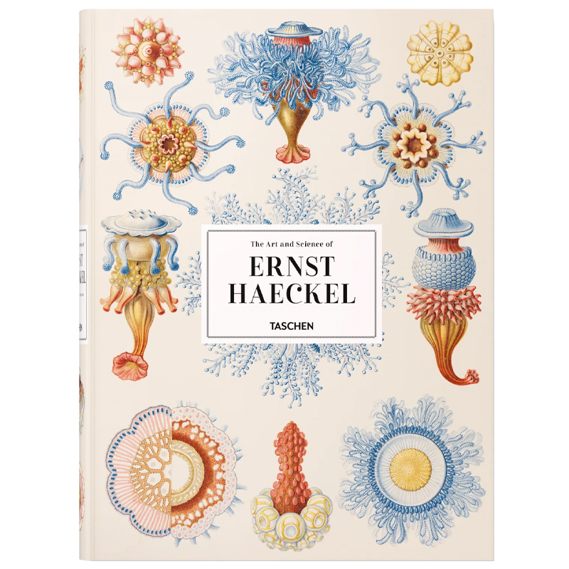 The Art and Science of Ernst Haeckel XXL  в Перми | Loft Concept 