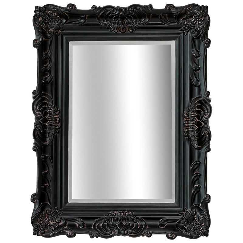 Зеркало Aryan Provence Mirror Black Черный Коричневый в Перми | Loft Concept 