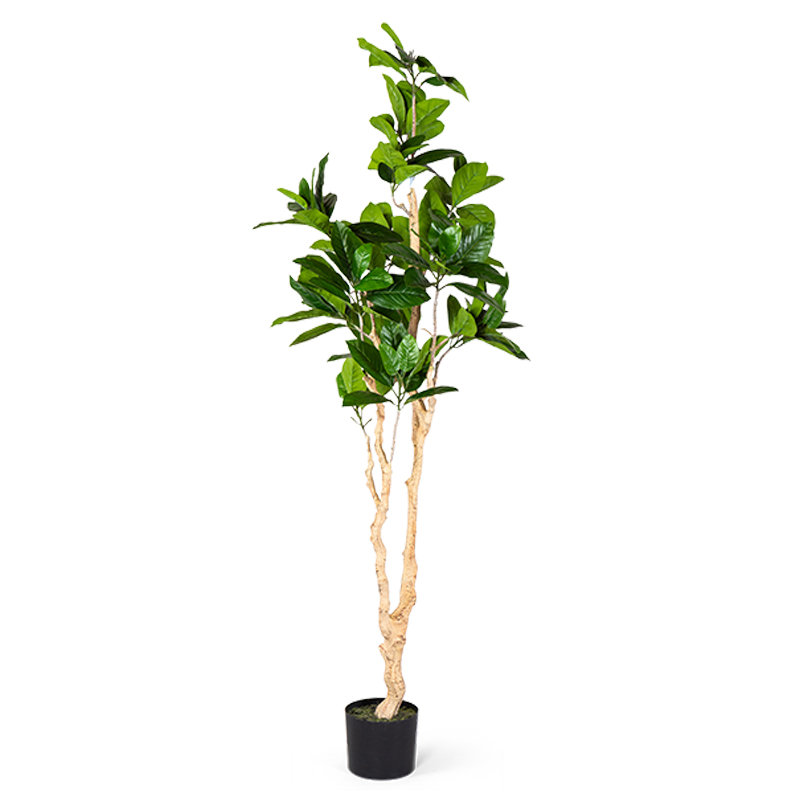 Декоративный искусственный цветок Decorative Tree h187 Зеленый в Перми | Loft Concept 