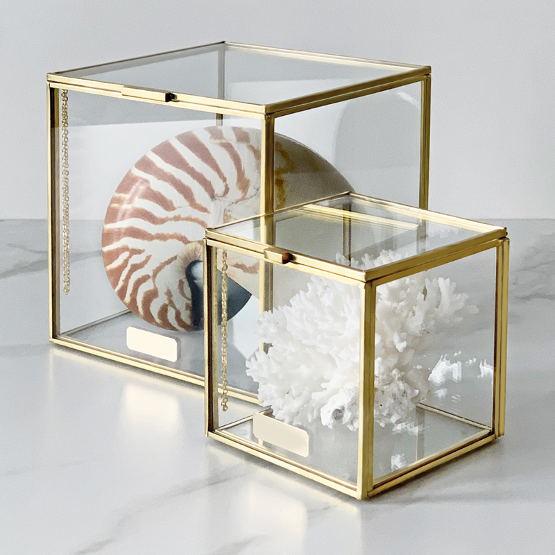 Комплект статуэток Natural Coral & Nautilus Pompilius Glass Box  в Перми | Loft Concept 