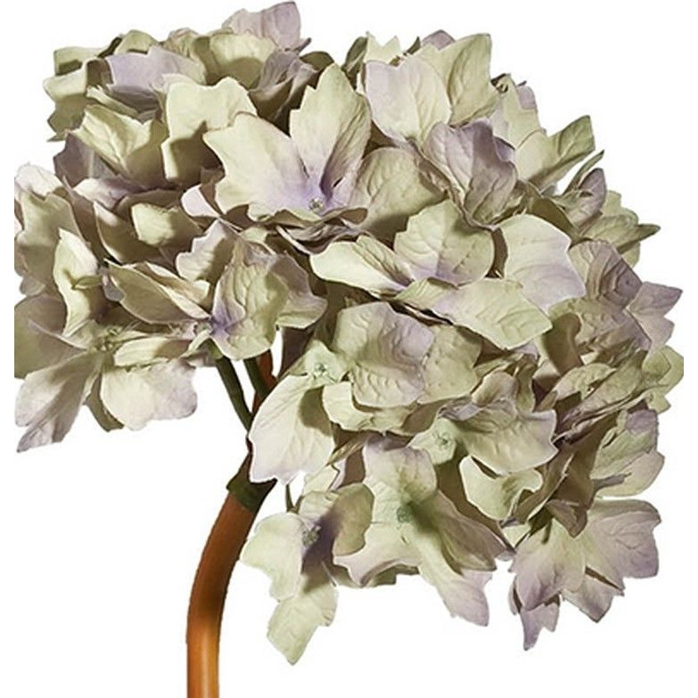 Декоративный искусственное растение Beige hydrangea Черный Бежевый Коричневый в Перми | Loft Concept 