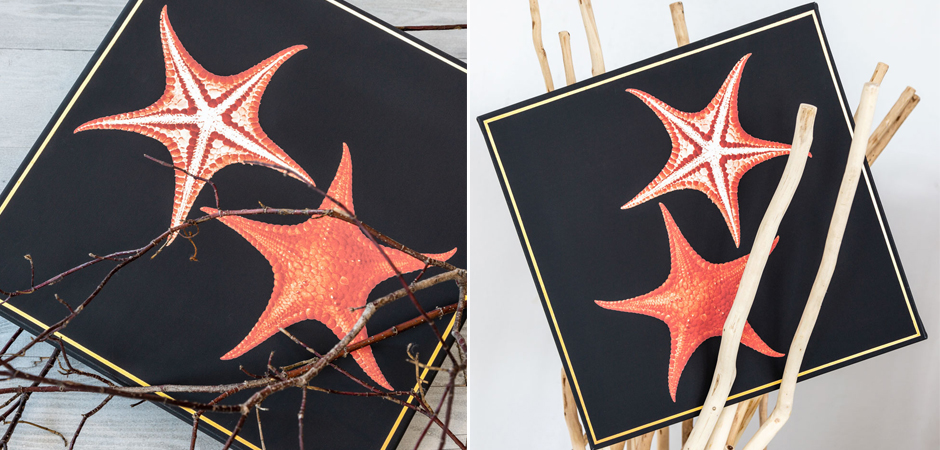 Постер Sea Stars Poster Постер Sea Stars Poster - Loft-Concept в Перми