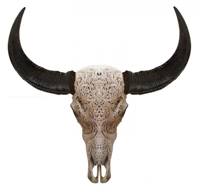 Череп буйвола с резьбой Buffalo Skull Tribal Carving Белый в Перми | Loft Concept 