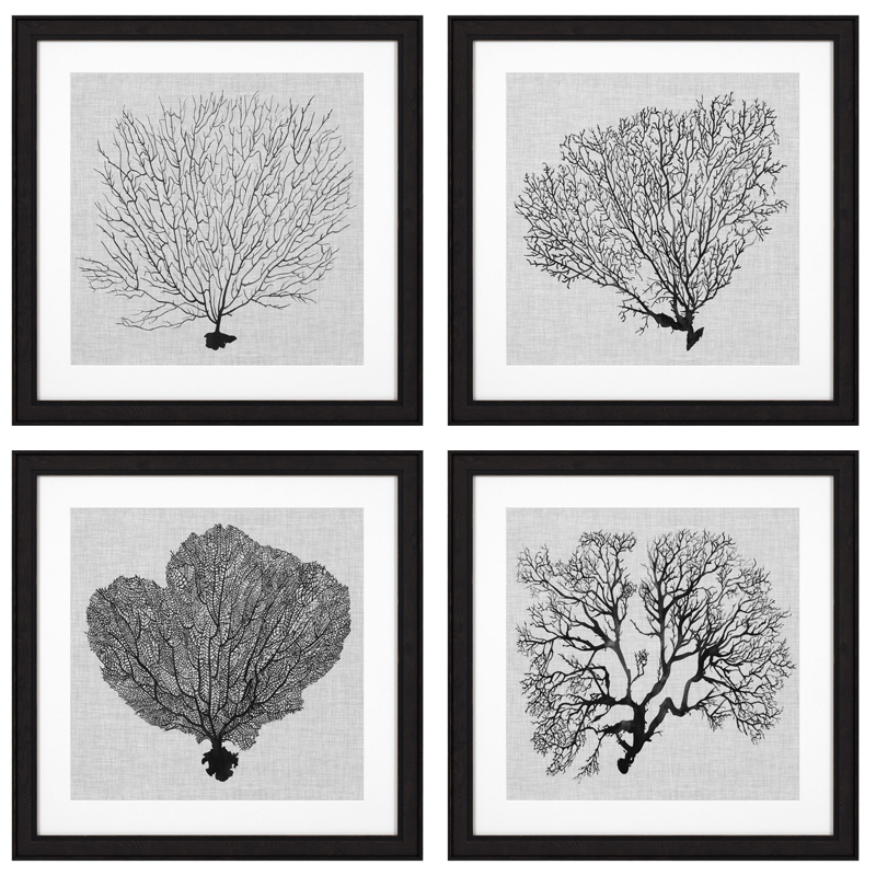 Комплект постеров Eichholtz Prints Shadow Sea Fans set of 4 Черный Черно-белый в Перми | Loft Concept 