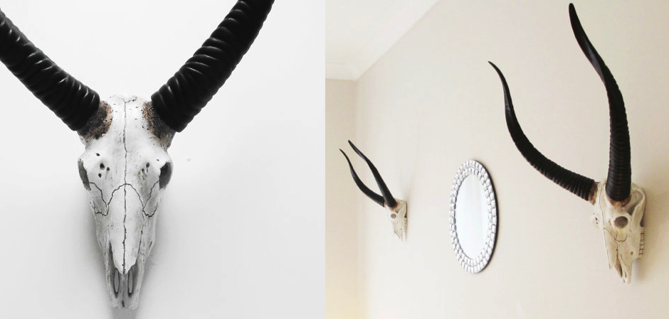 Череп антилопы с черными рогами - Loft-Concept в Перми