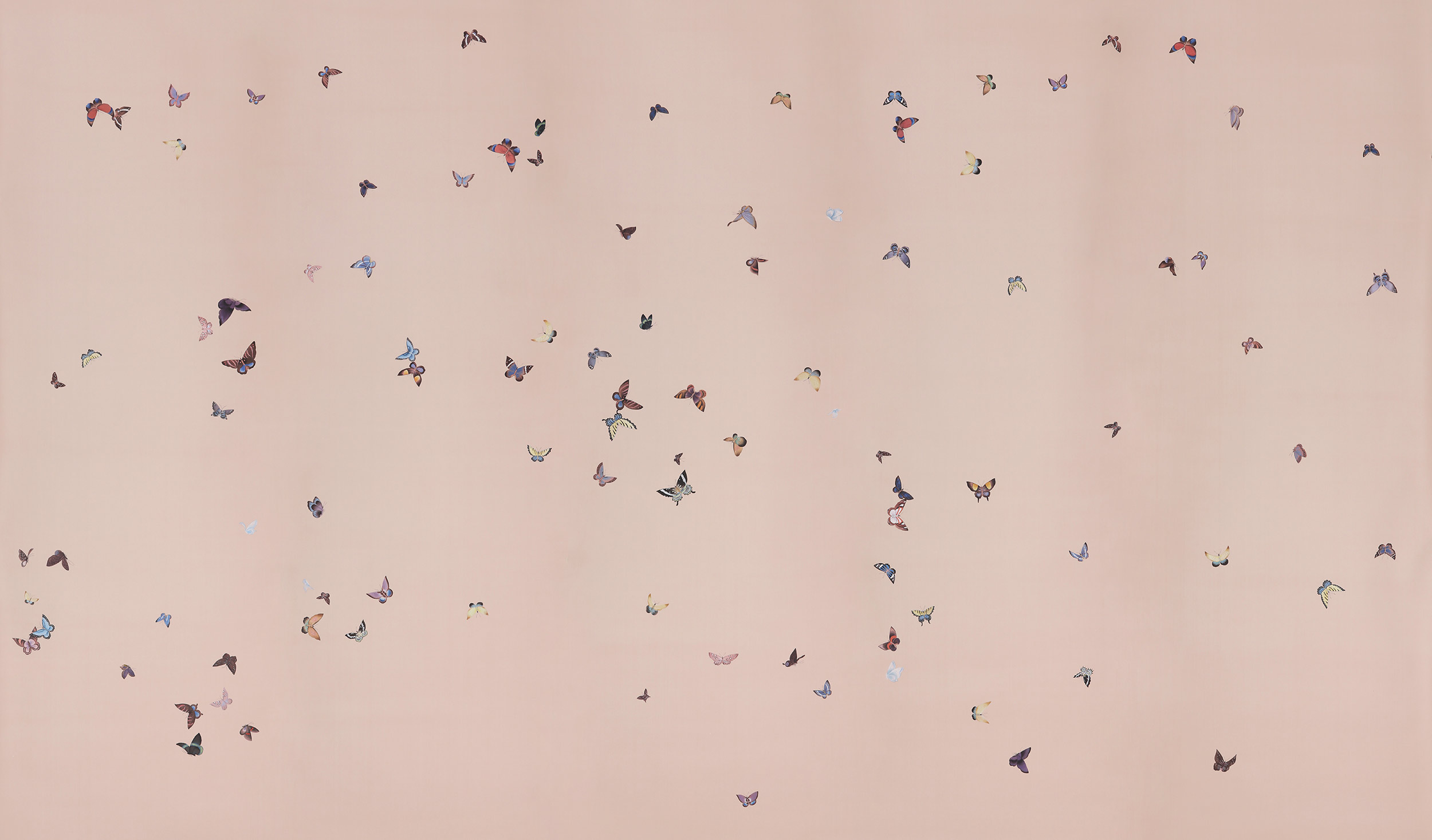 Обои ручная роспись Butterflies Icarus on Gentleman's Pink dyed silk Обои ручная роспись Butterflies Icarus on Gentleman's Pink dyed silk - постер Loft-Concept в Перми