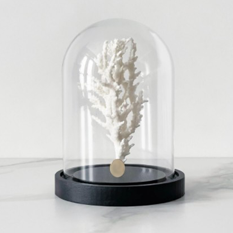 Статуэтка White Coral Glass Cloche  в Перми | Loft Concept 