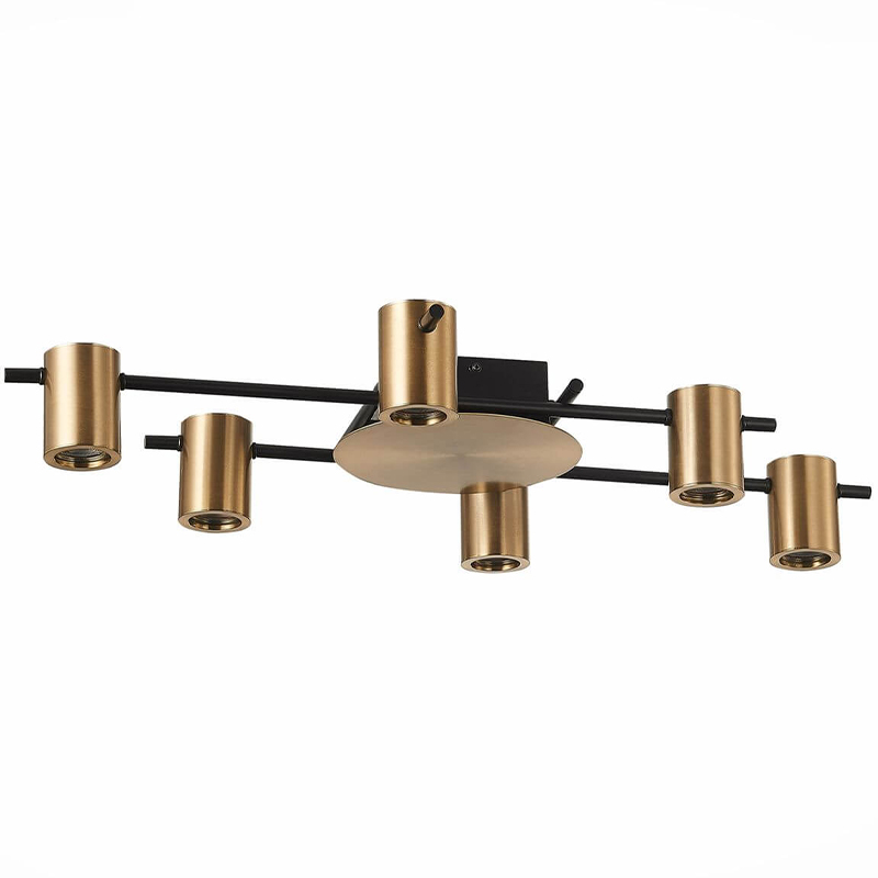 Потолочный светильник Aigle Ceiling Light 6 Черный Латунь в Перми | Loft Concept 