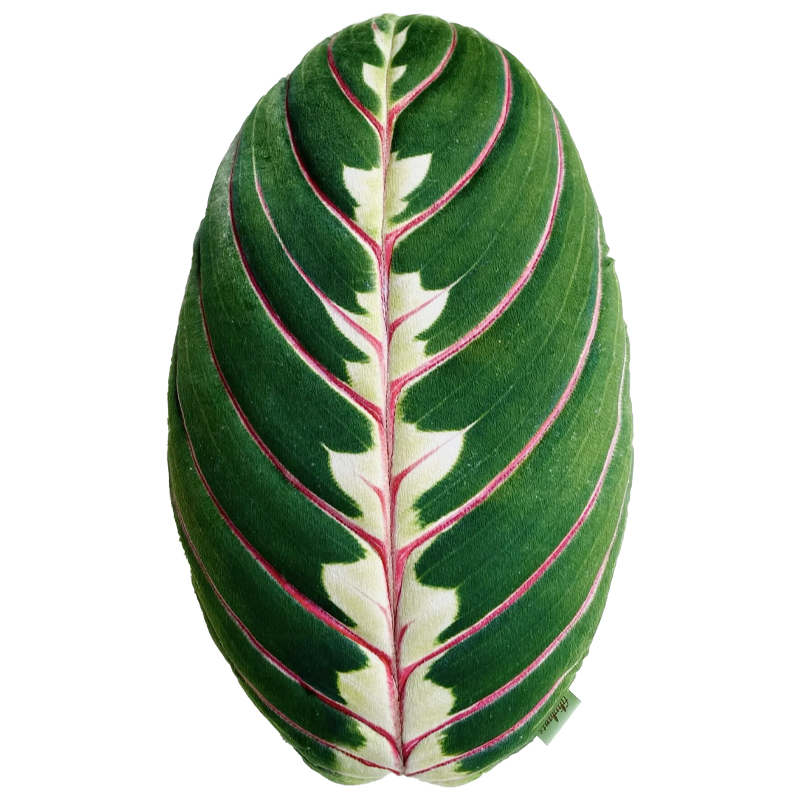 Декоративная подушка Botanical Cushion Maranta Trikolor Зеленый Бургундский красный в Перми | Loft Concept 