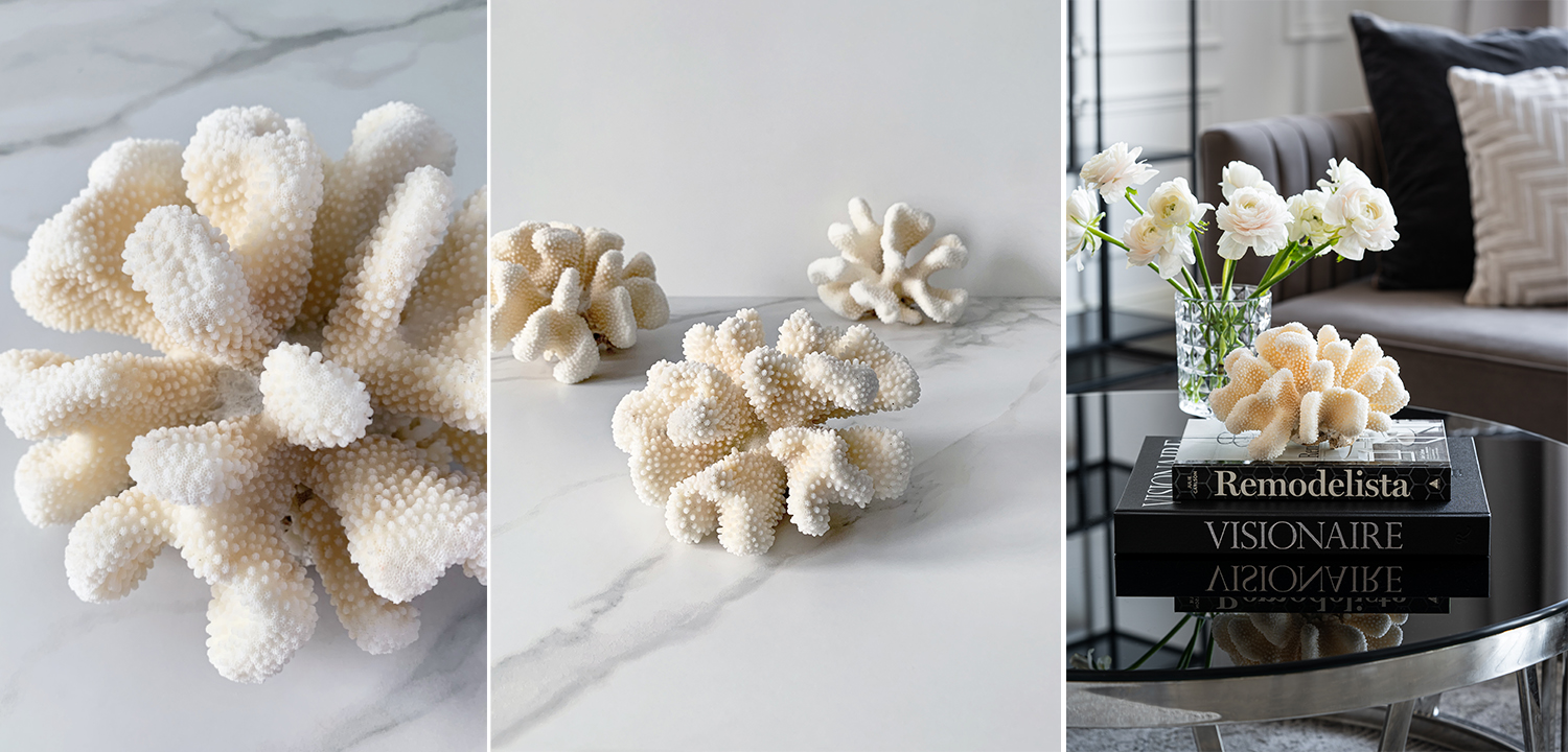 Статуэтка White Cauliflower Coral - фото