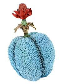 ПОКУПКА И ДОСТАВКА Дизайнерских ТОВАРОВ, Осуществляем доставку в страны СНГ