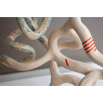 Скульптура «Papañca» варинант исполнения - 3 | Loft Concept в Перми