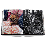 Книга подарочная Смелый бразильский стиль Сиг Бергамина Assouline Maximalism by Sig Bergamin варинант исполнения - 9 | Loft Concept в Перми