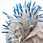 Статуэтка тропический фрукт Tropical Fruit White Blue варинант исполнения - 1 | Loft Concept в Перми