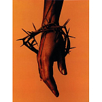 Подарочная книга величайший фотограф Альберт Уотсон The Vienna album Albert Watson варинант исполнения - 4 | Loft Concept в Перми