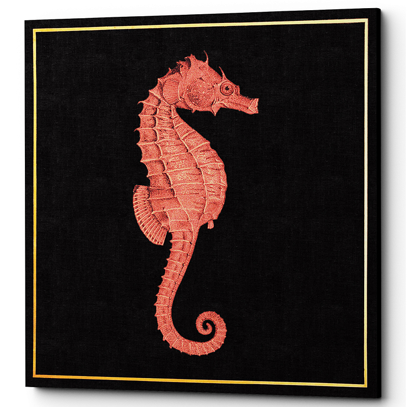 Постер Sea Horse Poster Черный Красный Постер Sea Horse Poster Черный Красный в Перми | Loft Concept