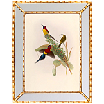 Постер с изображением птиц и цветов в зеркальной раме Blooming Birds Poster варинант исполнения - 4 | Loft Concept в Перми