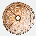 Подвесной светильник в виде купола декорированный белыми деревянными бусинами White Wooden Beads Hanging Lamp варинант исполнения - 4 | Loft Concept в Перми