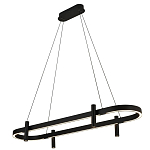 Люстра подвесная овальная черная  Black Light Fixtures варинант исполнения - 1 | Loft Concept в Перми