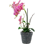 Декоративный искусственное растение Pink orchid варинант исполнения - 4 | Loft Concept в Перми