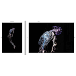 Монография художника Tavares Strachan - There is Light Somewhere варинант исполнения - 6 | Loft Concept в Перми