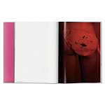 Книга Gisele Bundchen варинант исполнения - 7 | Loft Concept в Перми