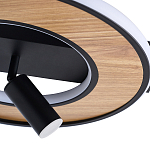 Потолочный светильник круглый GAVIN WOOD варинант исполнения - 2 | Loft Concept в Перми