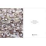 Книга Maison Lesage: Haute Couture Embroidery Mauries Patrick варинант исполнения - 11 | Loft Concept в Перми