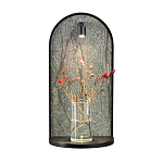 Настенный светильник зеленого цвета с черной рамкой овальной формы с полкой Herbarium  варинант исполнения - 6 | Loft Concept в Перми