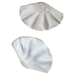 Фигурка из фарфора в виде одной створки ракушки Marine Tridacna варинант исполнения - 3 | Loft Concept в Перми