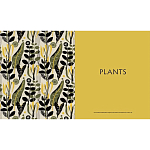 Книга The V&A Sourcebook of Pattern and Ornament варинант исполнения - 4 | Loft Concept в Перми