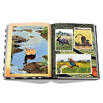 Подарочнный коллекционный фото альбом AFRICAN ADVENTURES NEW 2023 ASSOULINE HC UNBELIEVABLE ILLUSTRATIONS Safari варинант исполнения - 7 | Loft Concept в Перми