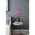 Декоративный искусственное растение Pink orchid варинант исполнения - 8 | Loft Concept в Перми