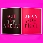 Коллекционный альбом Schiaparelli and the Artists варинант исполнения - 12 | Loft Concept в Перми