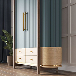 Шкаф «Гавайи» варинант исполнения - 2 | Loft Concept в Перми