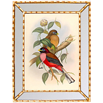 Постер с изображением птиц и цветов в зеркальной раме Blooming Birds Poster варинант исполнения - 7 | Loft Concept в Перми