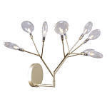 Бра в виде ветвей с прозрачными круглыми плафонами Moooi варинант исполнения - 1 | Loft Concept в Перми