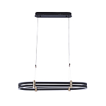 Люстра светодиодная в форме овала из акрила и алюминия с пультом для регулировки света Ring Horizontal Anthracite варинант исполнения - 1 | Loft Concept в Перми