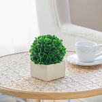 Декоративный искусственное растение Square boxwood варинант исполнения - 6 | Loft Concept в Перми