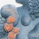 Тканый вручную Большой абстрактный гобелен Frost Forest варинант исполнения - 1 | Loft Concept в Перми