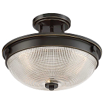 Потолочный светильник со стеклянным плафоном в виде купола Quoizel варинант исполнения - 8 | Loft Concept в Перми