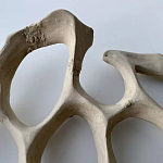 Блюдо «Бежевый коралл» варинант исполнения - 3 | Loft Concept в Перми