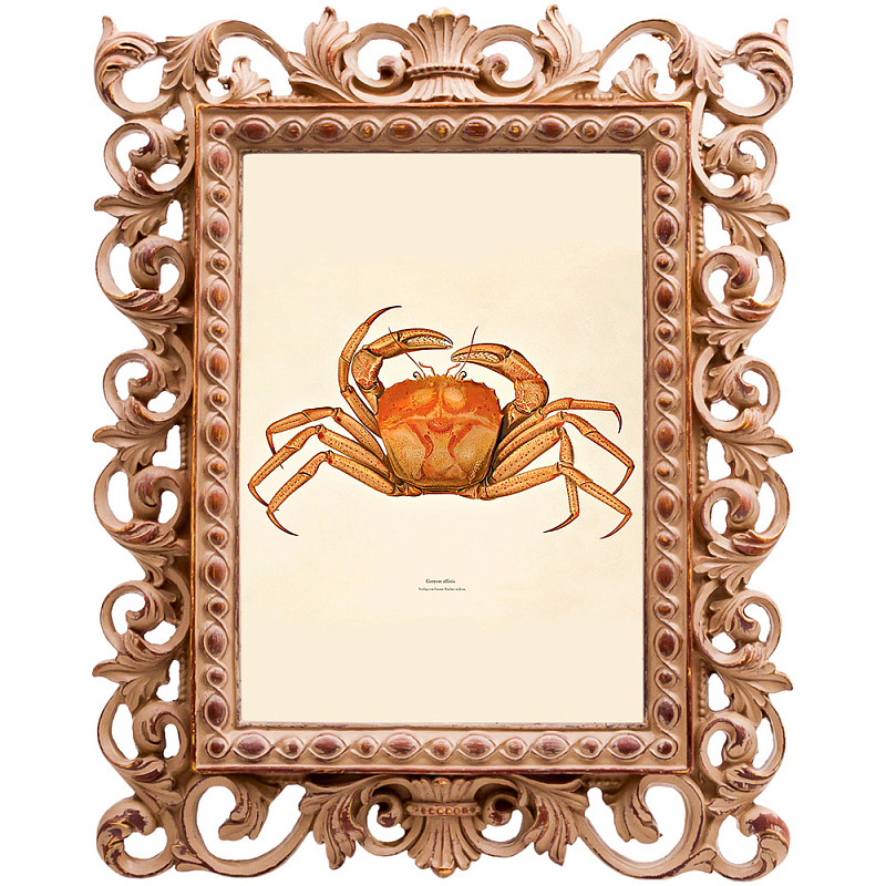 Постер Ocher Crab Poster Бежевый Оранжевый в Перми | Loft Concept 