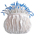 Статуэтка тропический фрукт Tropical Fruit White Blue варинант исполнения - 3 | Loft Concept в Перми